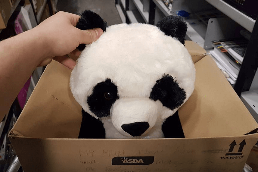 pandaknuffel