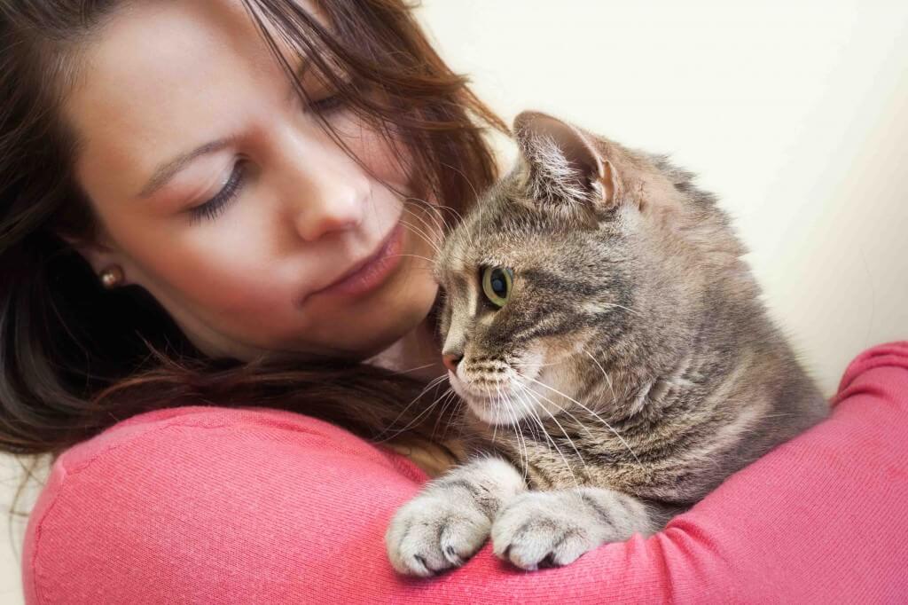 Een kat hebben is goed voor je gezondheid! Ontdek waarom! Tips en Weetjes Een kat hebben is goed voor je gezondheid! Ontdek waarom! Tips en Weetjes