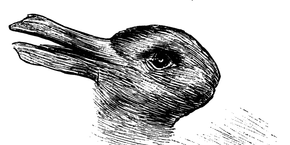 TEST: welk van de twee dieren zie jij op dit plaatje? Als je beide ziet