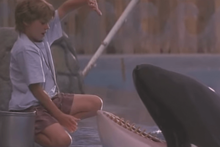 Free Willy