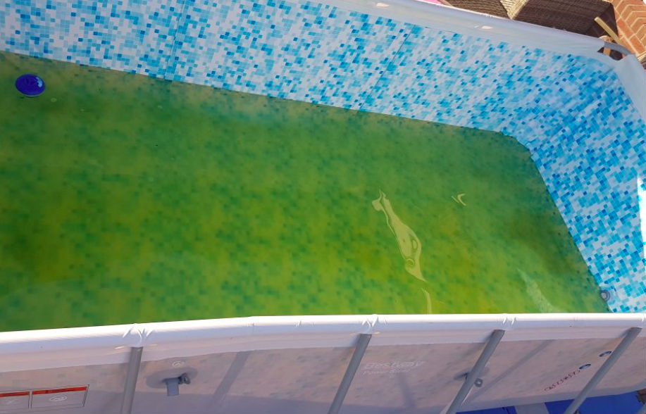 Maak groen zwembadwater helder in drie eenvoudige stappen!