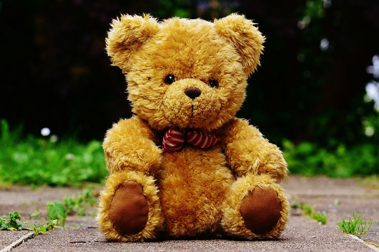 knuffels herenigd met eigenaren