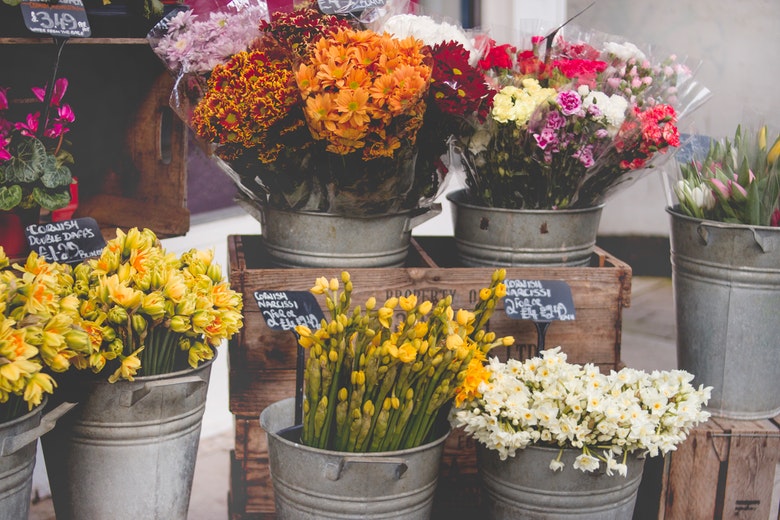 voorjaarsbloemen